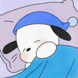 睡觉了💤