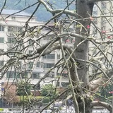 豆友253281668