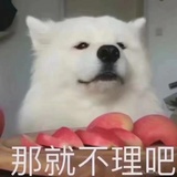 安娜贝兔