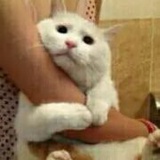 豆友6373807778