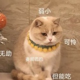 豆友f2aa4.2154
