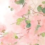 豆友1sT-oYpb40