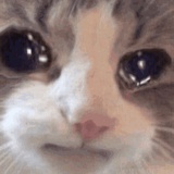 肥而不腻猪五花