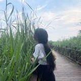 青蓝