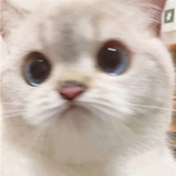 小咕咚－