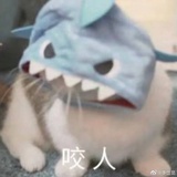 芝士汉堡_