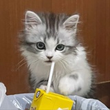 ooiii