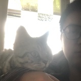 夏天大人