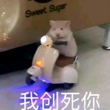 我是见黑的跌