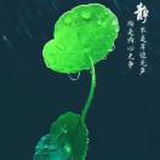 豆友X7czyYLMPE