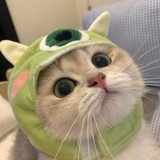 星星会说话