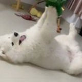 豆友UgQaf3Qqlw