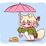 猫小乐