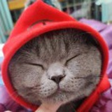 外汇流动性交易员夏叔叔