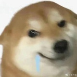 Siiid