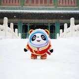 花儿与少年