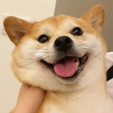 皮蛋solo粥