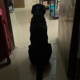 李牧之