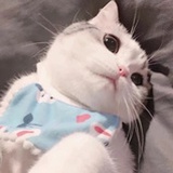 豆友034d0.1354