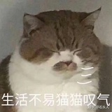 carol(备用机）