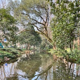 平原君
