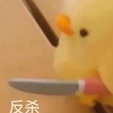 楚玉V（回答我