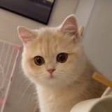 暖海