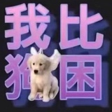 我比狗困