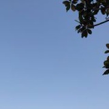 豆友7678012730