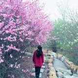 梦蕊读书
