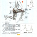 魔毯情报局