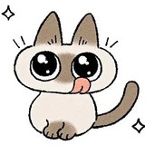 茴香
