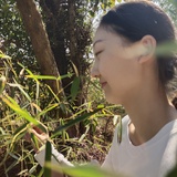 吃香菜吗