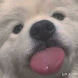 豆友5604413138