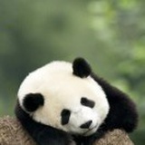 豆友W2FhNPcVWU