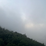 好运来