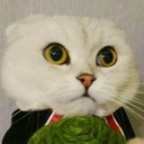 土狗胖丁