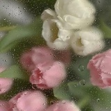 serendipity