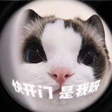 棠时雨