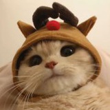 豆友5840310149