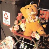 豆友7672420692