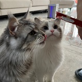 wuwlz666666