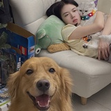 无敌爆炸螺旋丸