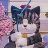 等天晴