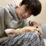 托尼的爱❤️