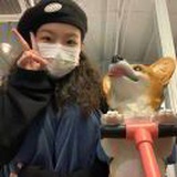 豆豆车