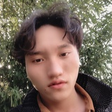 TaoYingHui
