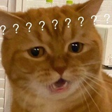 知许