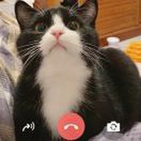 豆友2J7kRRlnpo