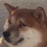 啵啵炒粉受害者